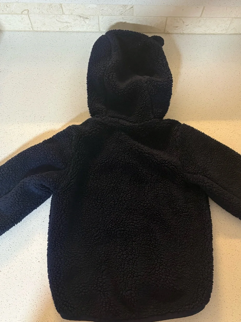 Northface bear hooded fleece jacket